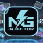 NG Injector