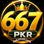 667pkr Game